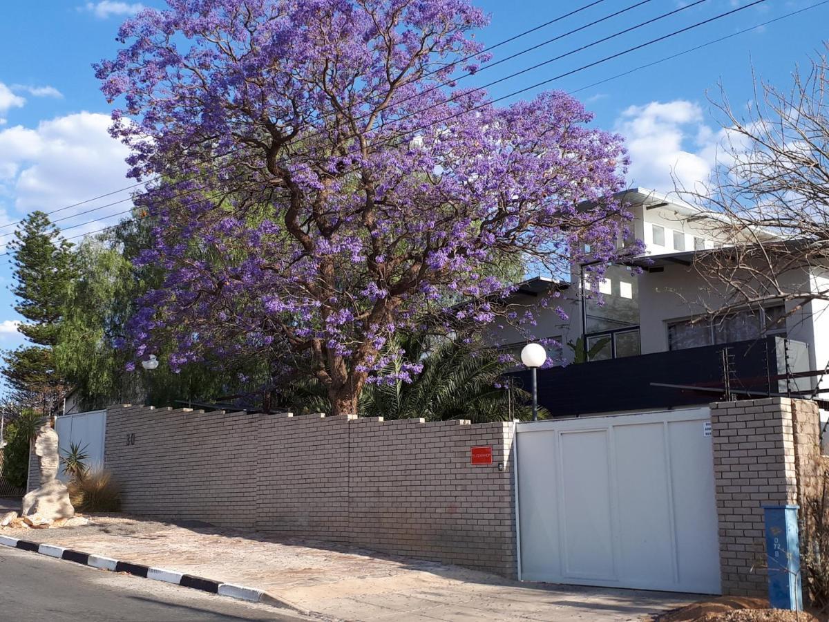 Suiderhof Self-Catering Hotell Windhoek Eksteriør bilde